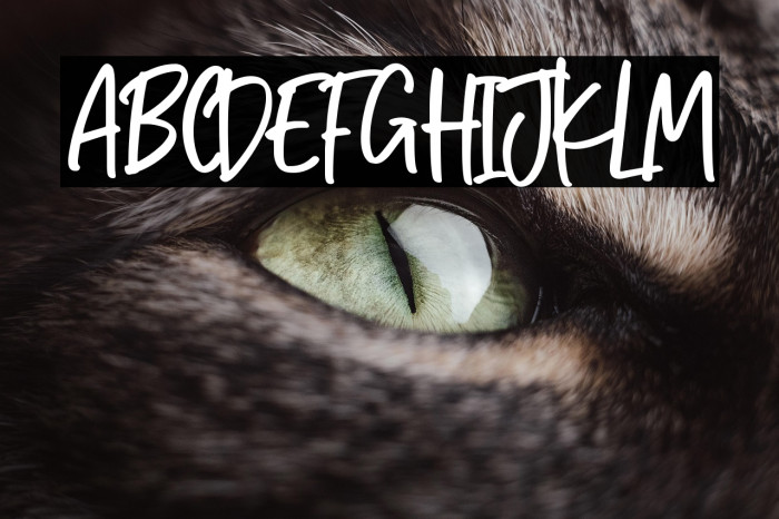 BiG PoiNts Example 3