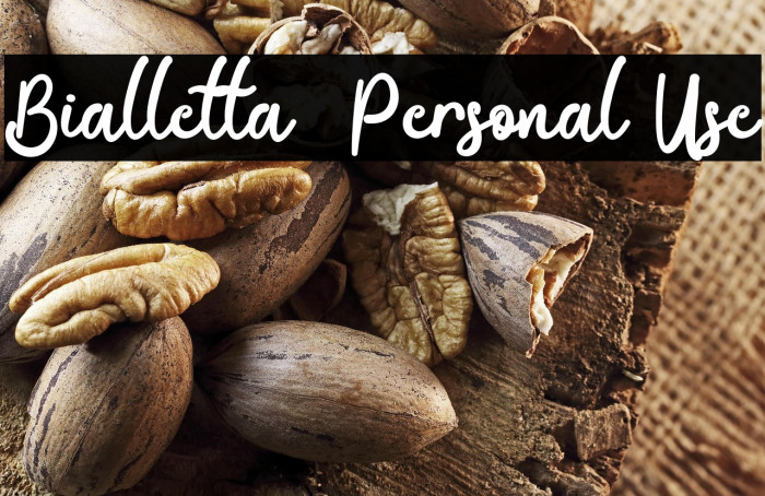 Bialletta - Personal Use Example 1