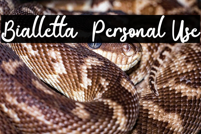 Bialletta - Personal Use Example 3