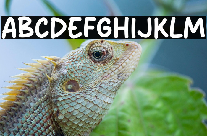 Bianca Lovely Example 1