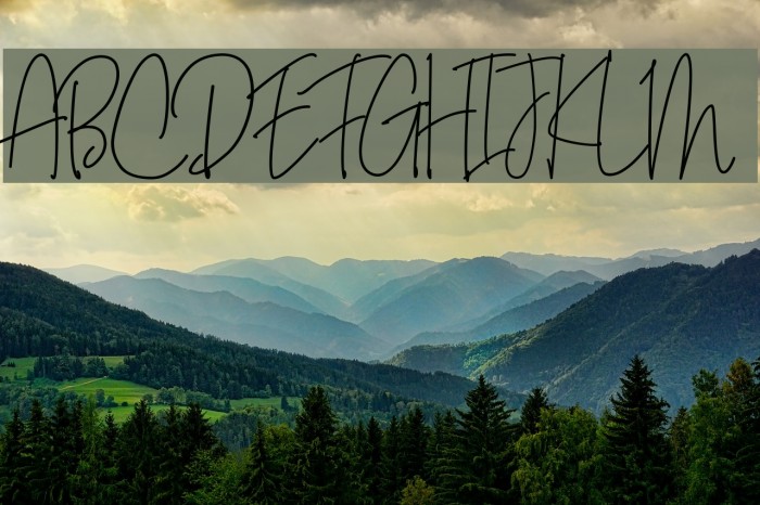 Bianka Script Font examples