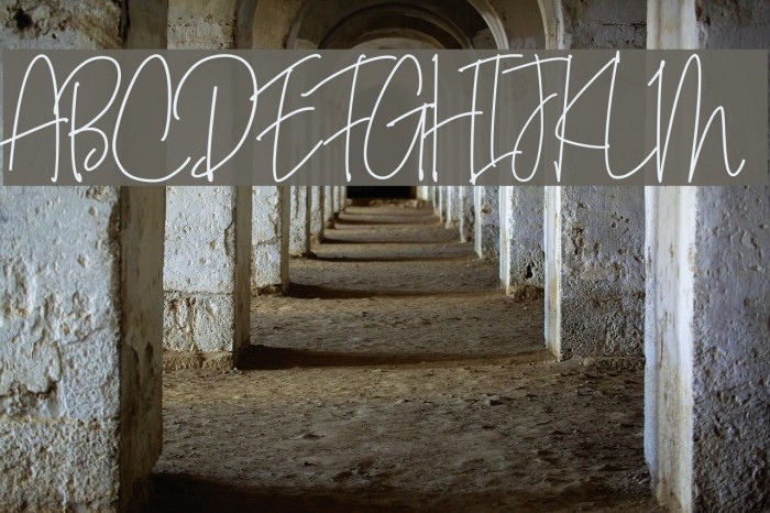 Bianka Script Font examples