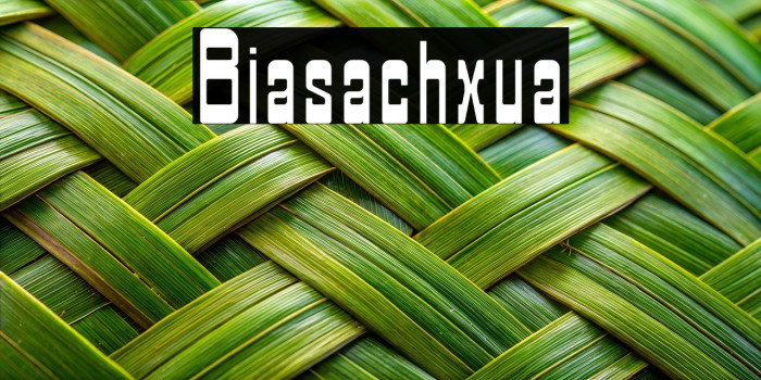 Biasachxua Example 1