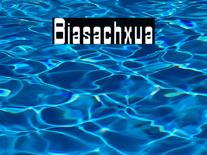 Biasachxua Example 2