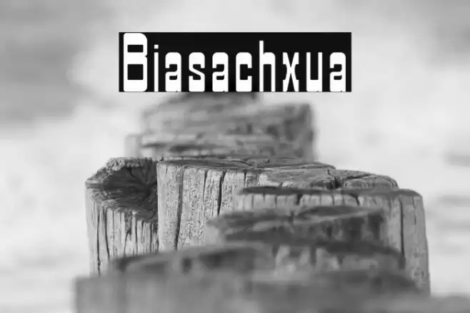 Biasachxua Font examples