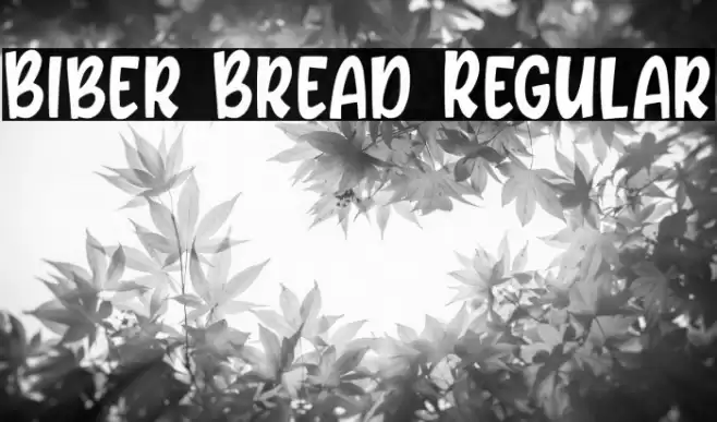 Biber Bread Regular Font examples