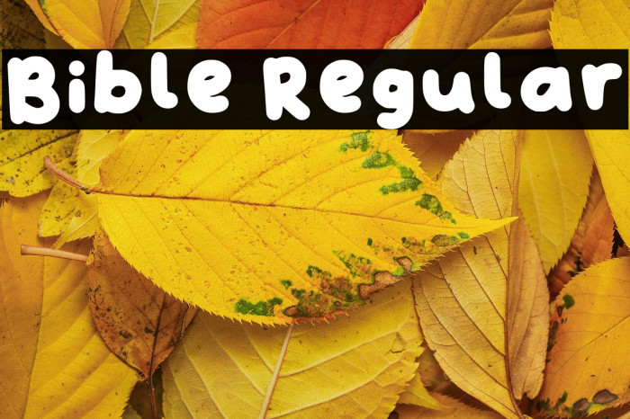 Bible Regular Example 3