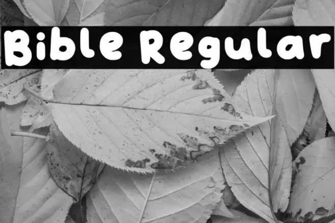 Bible Regular خط examples