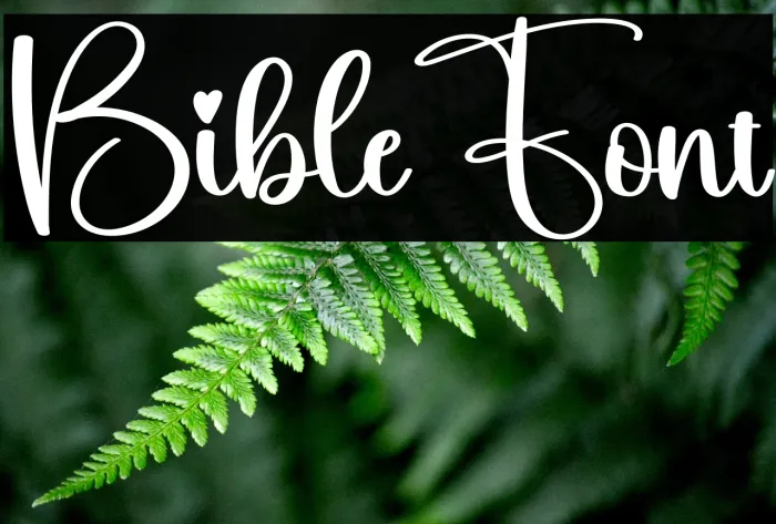 Bible Example 2