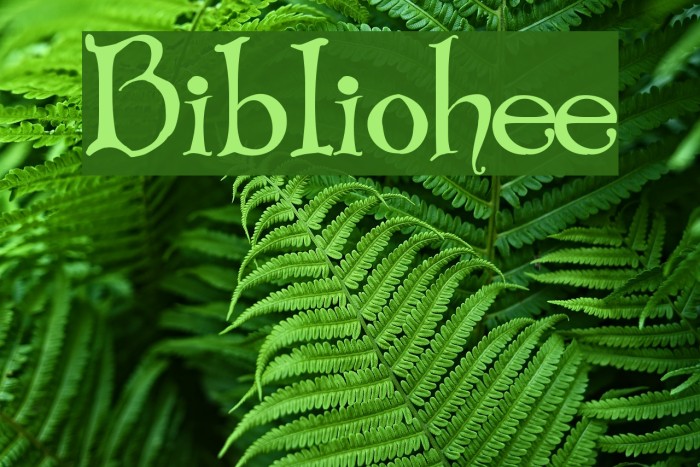 Bibliotheque Font examples