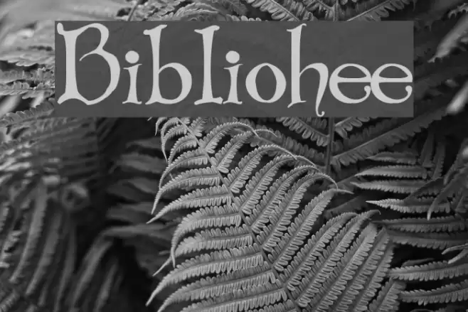 Bibliotheque Fonte examples