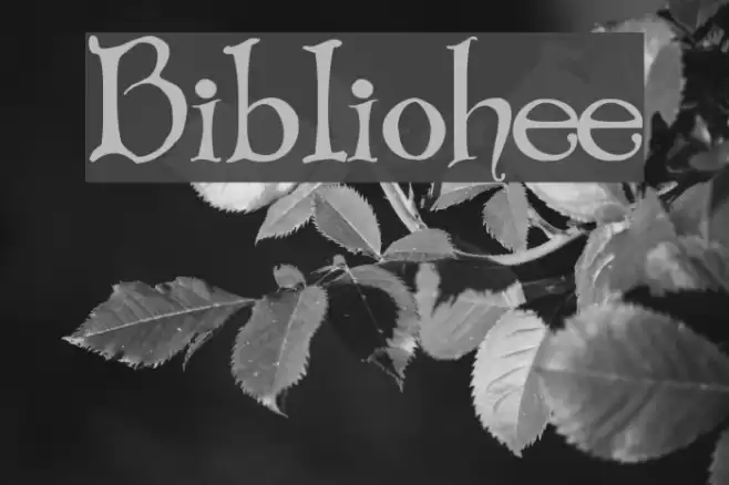 Bibliotheque Fonte examples