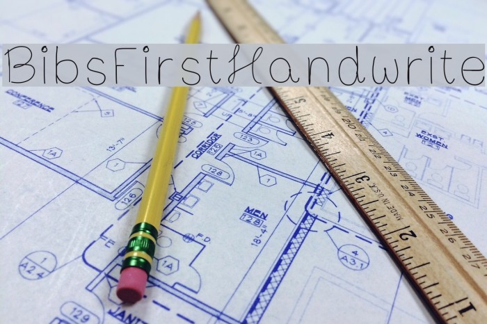 BibsFirstHandwrite Example 1