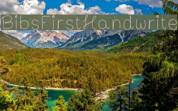 BibsFirstHandwrite Example 2