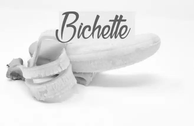 Bichette Font examples