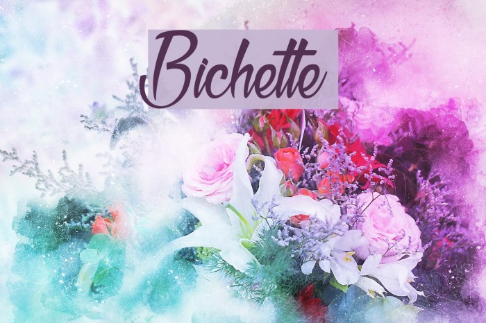 Bichette Шрифта examples