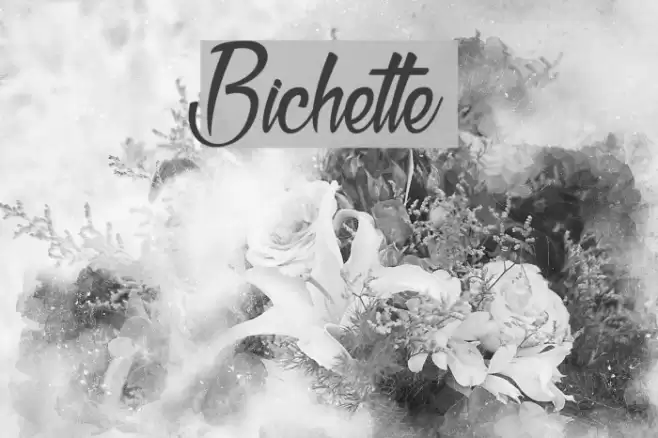 Bichette Font examples