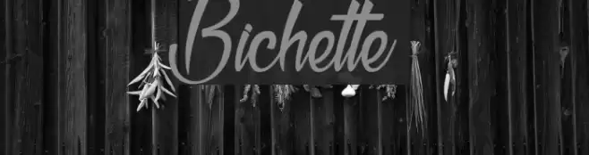 Bichette Font examples