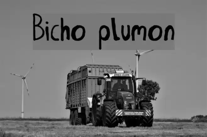 Bicho plumon Font examples