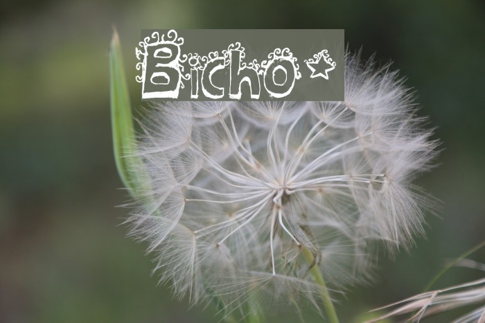 Bicho* Font examples