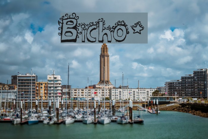 Bicho* Font examples