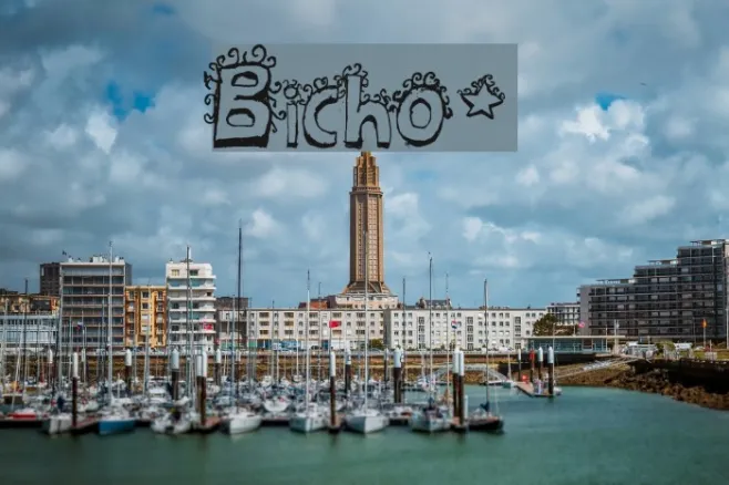 Bicho* Example 3