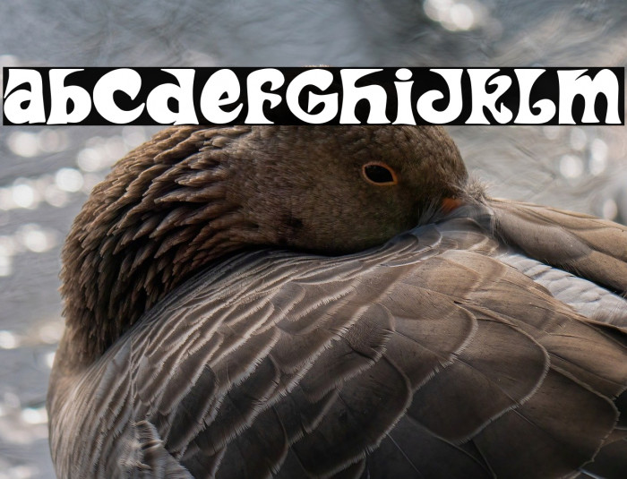 Bicicleta Funk Example 1