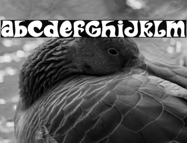 Bicicleta Funk Polices examples