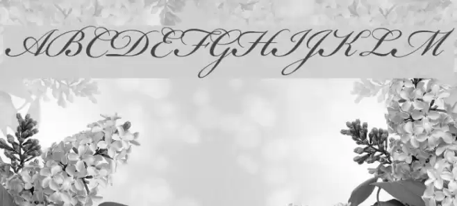 Bickham Script MM Font examples