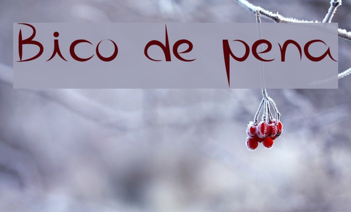 Bico de pena Font examples