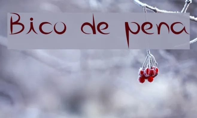Bico de pena Example 2