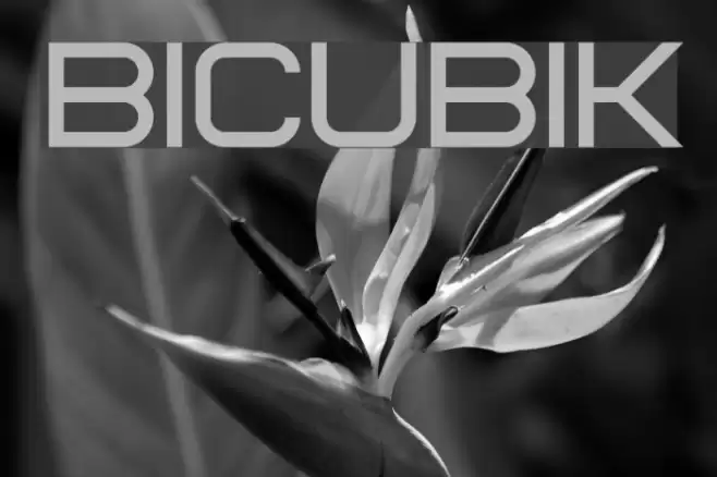 Bicubik Font examples