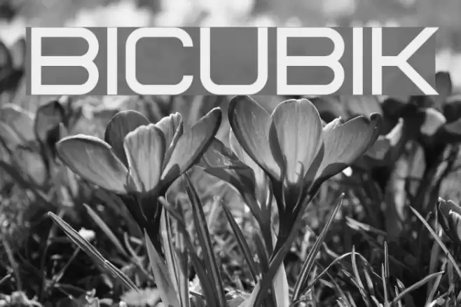 Bicubik Font examples