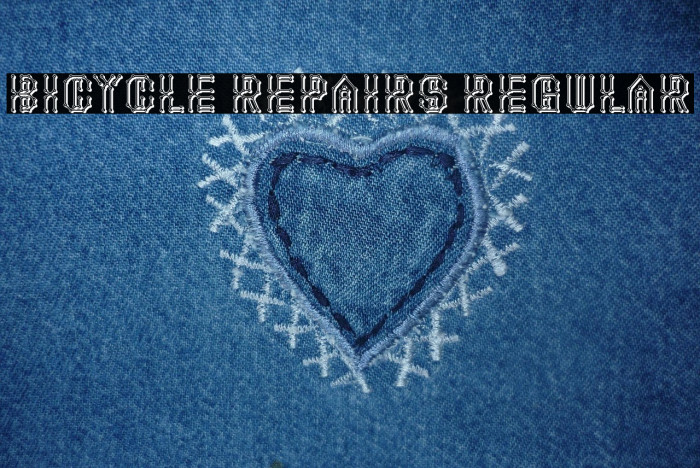 Bicycle Repairs Regular Example 1