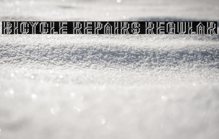 Bicycle Repairs Regular Example 3