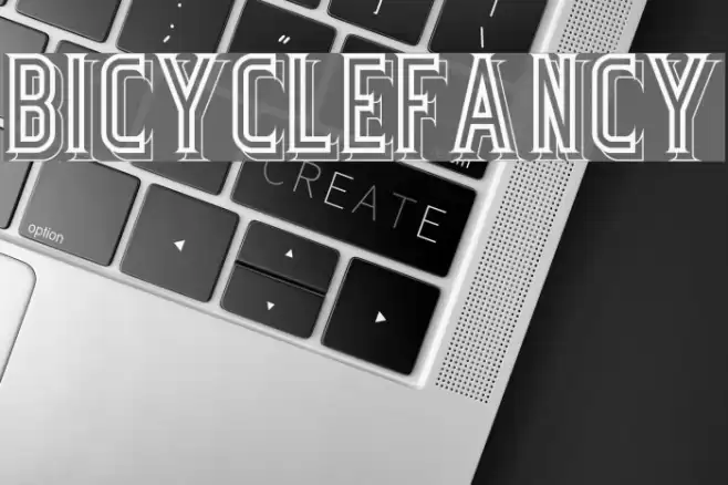 BicycleFancy Fonte examples