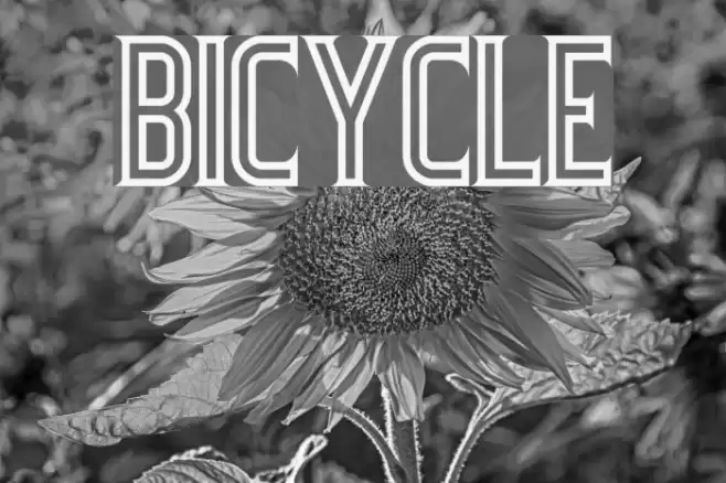 Bicycle Font examples