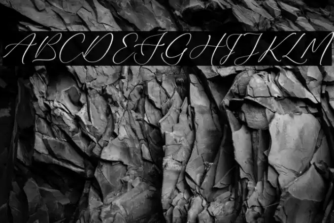 Bidalari Hearter Polices examples