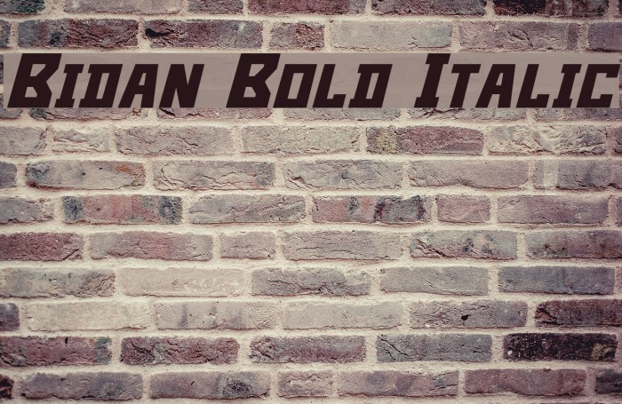 Bidan Bold Italic Font examples