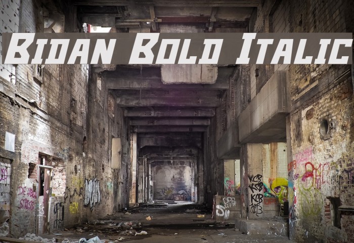Bidan Bold Italic Font examples