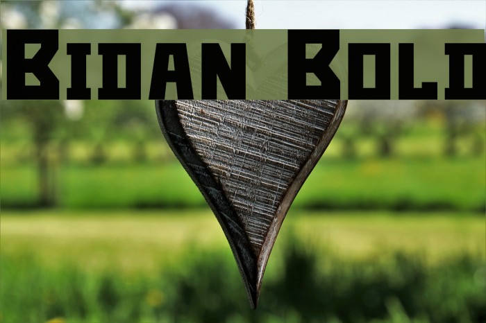 Bidan Bold Example 1