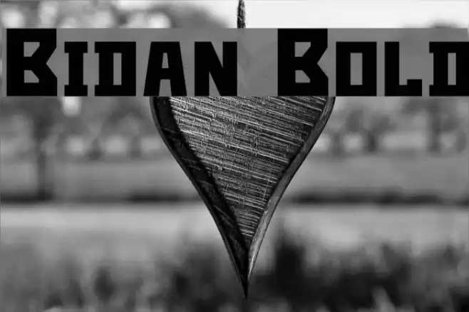 Bidan Bold Font examples