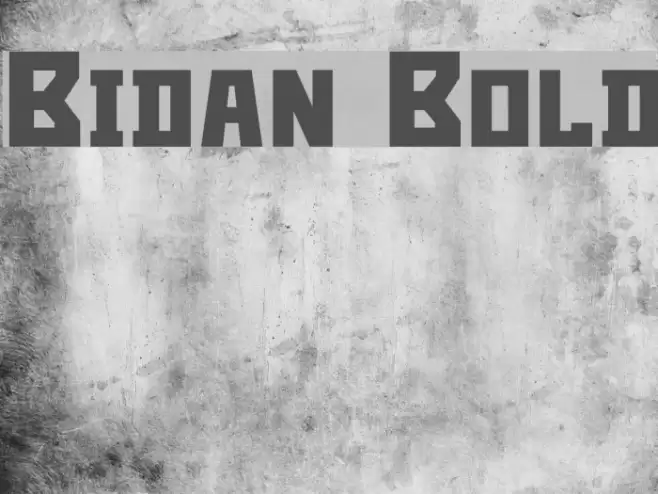 Bidan Bold Font examples
