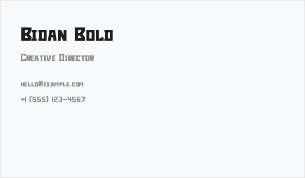 Bidan Bold Business Card