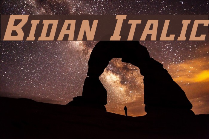 Bidan Italic Font examples