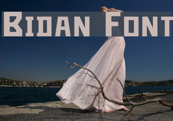 Bidan Font examples