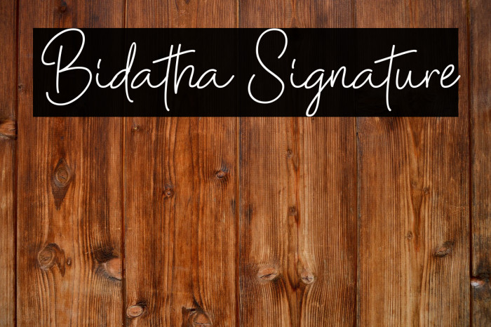 Bidatha Signature Example 1