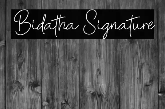 Bidatha Signature Font examples