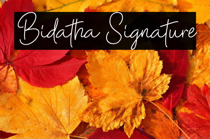 Bidatha Signature Example 2