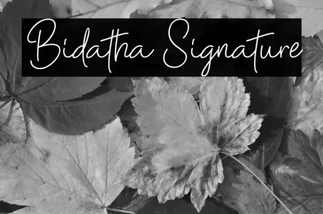 Bidatha Signature Font examples